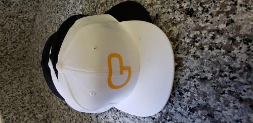 팽수 모자 heatpress