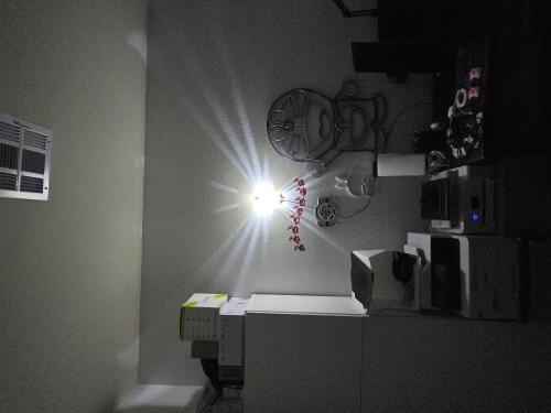 3D Printed Light